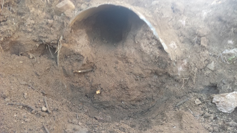 Clogged Culvert